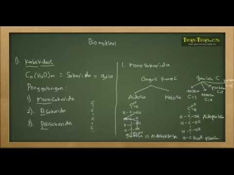 Belajar Kimia : Karbohidrat, Protein, Lipid Bagian 1