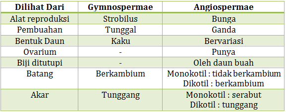Pernyataan berikut yang membedakan gymnospermae dan angiospermae adalah